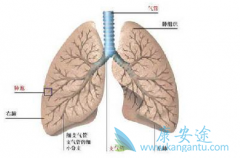 �ΰ�����������������Ʒΰ�����