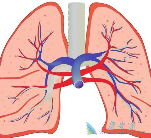 �ΰ�����������