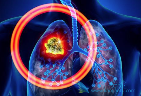 �ΰ����ڿ����κ���