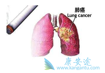 �ΰ����ڿ����κ���