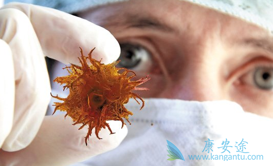 ����ҽ��