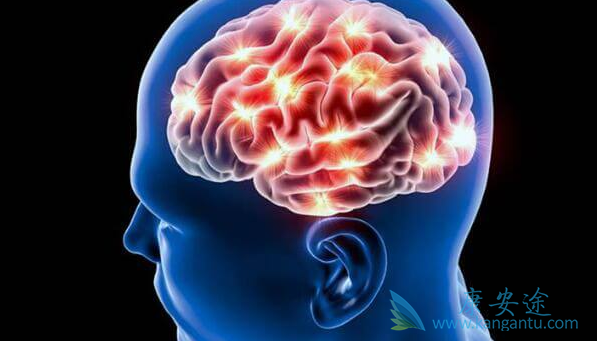 凡德他尼 凡德他尼