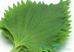 �ΰ�����ƫ���Ի������念���а�����