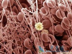 ����ҽ�Ƹ�������Щ���������������ά��