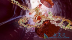 AZD9291/̩��ɳ(TAGRIX)��׼����ʱ���ֳ����������ƻ������