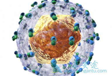 丙肝治疗需要多少钱 丙肝治疗需要多少钱
