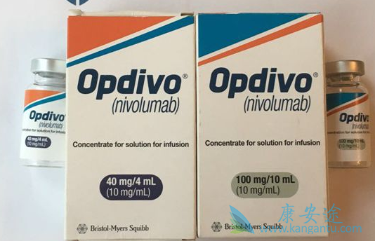 纳武单抗 纳武单抗