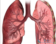 ӡ�����޿�/�������ᵥҩ�������ڷΰ���Ч����