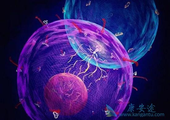 海外医疗 海外医疗