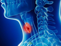 ̩����/�����鵥�������Ʋ�ͬ���͵�����ʱ��Ѽ�����һ��