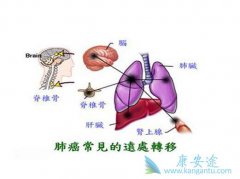 �ΰ���ת��֮�����������к�����