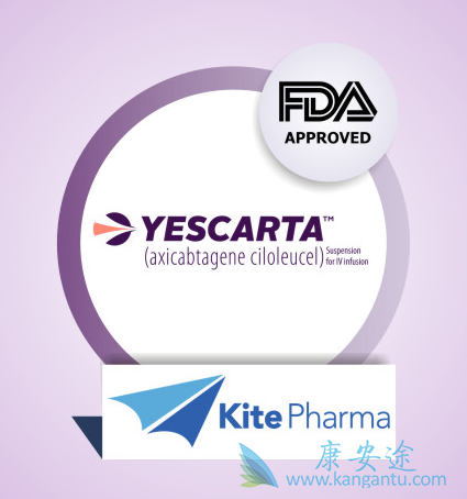 CART细胞治疗 CART细胞治疗