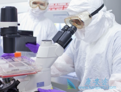 CARTϸ�����Ʒ�����ʵ�����в��ϵ�̽��