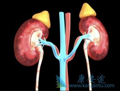 舒尼替尼 舒尼替尼