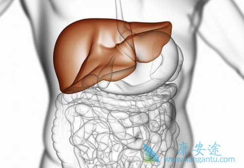 乙肝传染途径 乙肝传染途径