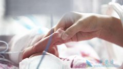 �����������Թ�Ӥ��ǰ���Ǹ���ε����Լ�������