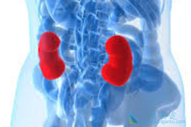 舒尼替尼 舒尼替尼