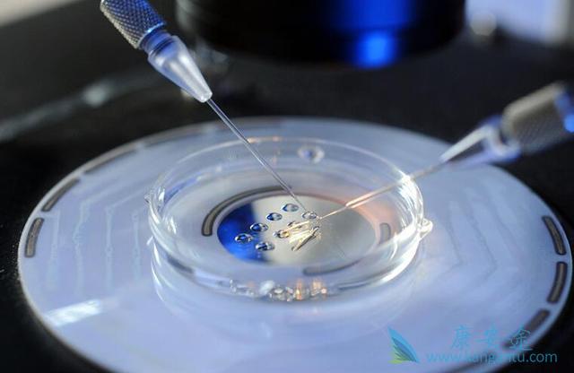 ����ҽ��