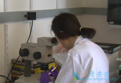 Kymriah��CARTϸ�����Ʒ�������ʵ����Ч����ô��