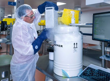 CART细胞治疗 CART细胞治疗