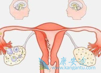 来曲唑片 来曲唑片