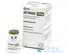 PD-1���Ƽ��������ں�ɫ������������ͳ���ض�֪��