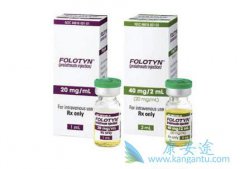 ���������������ܰ�������ҩ��������ɳ��Folotyn)�Ľ���