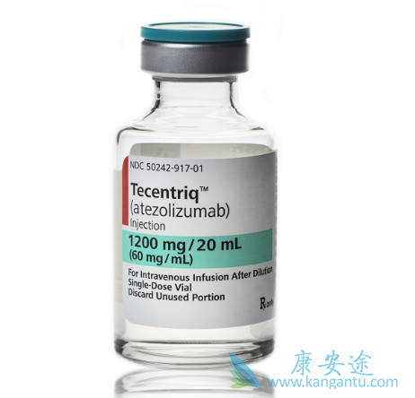 PD-1抗体 PD-1抗体