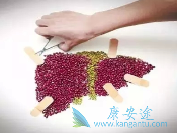 乙肝表面抗体 乙肝表面抗体