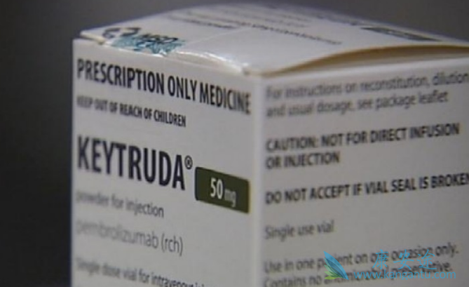 PD-1单抗 PD-1单抗