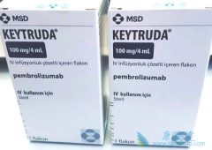 PD-L1�߱���Ļ���Ӧ����ʹ��PD-1���Ƽ�����