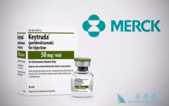 PD-1���Ƽ�������ҩ�ڶ��������������չ������Ч��