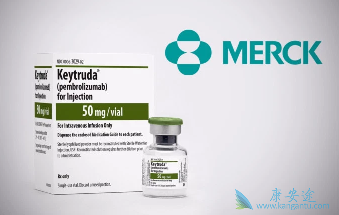 PD-1抑制剂 PD-1抑制剂