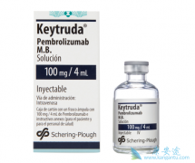 PD-1���Ƽ���CTLA-4���Ƽ������ִ��ȵ����߼������Ƽ�