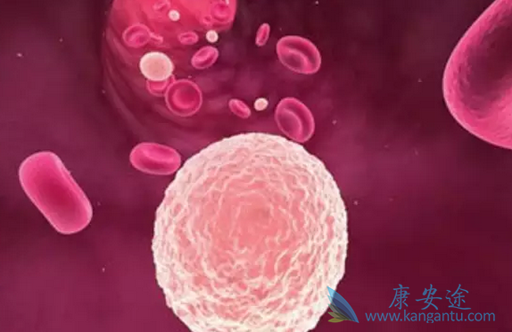 骨髓增生异常综合征 骨髓增生异常综合征