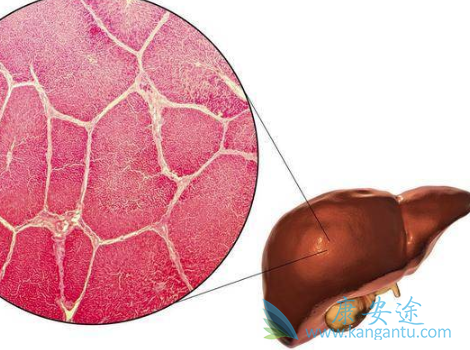 乙肝表面抗体阴性 乙肝表面抗体阴性