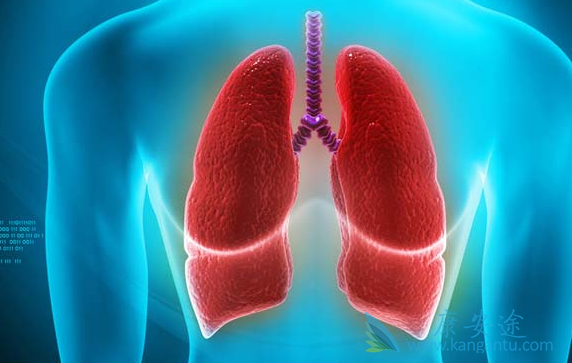 �ΰ�����