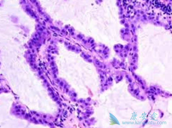 ��Сϸ���ΰ�