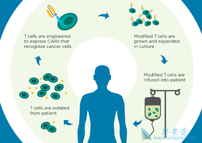 CAR-Tϸ���Ʒ�