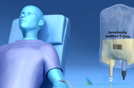 CARTϸ���Ʒ�