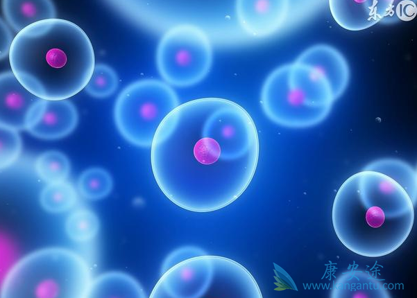 ��ϣ����