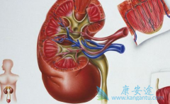 ��������(Sunitinib)�Ͱ�������������mRCC�������Ƶ���Ч�Ͱ�ȫ��