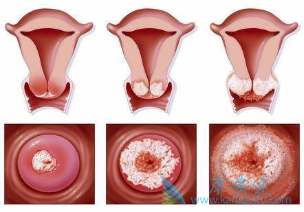 ������֢״