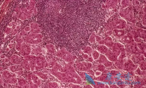 �ܰͰ����Ʒ���