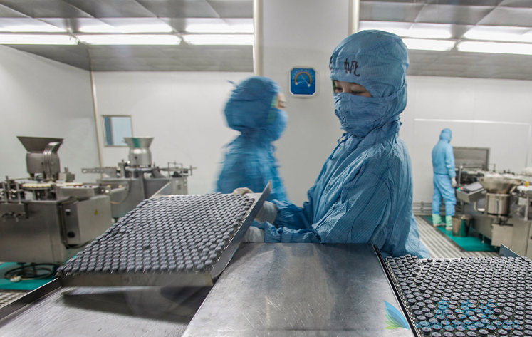 ���������������簸