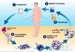 CART�Ʒ���ȫ����Ƕ�Ͽ�ԭ����Tϸ�������Ʒ�