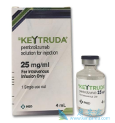 ��֢����ʹ��PD-1�������Ʋ�����ҩ���������Щ