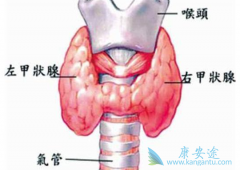 ��״�ٰ�֢״�ڳ���Ϊʲôû�б���