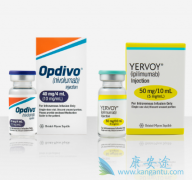 CTLA-4��PD-1����Ϊ��֢���ƴ�������ϣ��