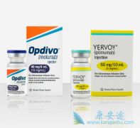 PD-1���Ƽ�Opdivo����Yervoy�ܷ���Keytruda����